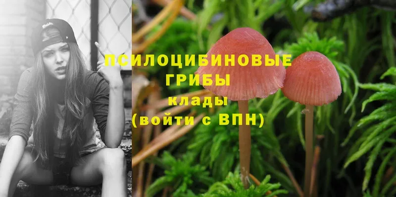 Галлюциногенные грибы Psilocybine cubensis  Белый 